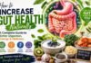 How to Increase Gut Health Naturally: A Complete Guide to Better Digestion, Energy & Wellness How to increase gut health naturally