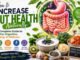 How to Increase Gut Health Naturally: A Complete Guide to Better Digestion, Energy & Wellness How to increase gut health naturally