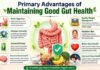 What Are the Primary Advantages of Maintaining Good Gut Health? Primary Advantages of Maintaining Good Gut Health