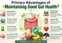 What Are the Primary Advantages of Maintaining Good Gut Health? Primary Advantages of Maintaining Good Gut Health