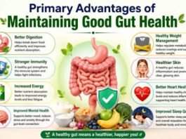 What Are the Primary Advantages of Maintaining Good Gut Health? Primary Advantages of Maintaining Good Gut Health
