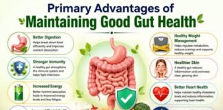 What Are the Primary Advantages of Maintaining Good Gut Health? Primary Advantages of Maintaining Good Gut Health