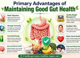What Are the Primary Advantages of Maintaining Good Gut Health? Primary Advantages of Maintaining Good Gut Health
