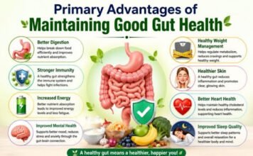 What Are the Primary Advantages of Maintaining Good Gut Health? Primary Advantages of Maintaining Good Gut Health