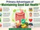 What Are the Primary Advantages of Maintaining Good Gut Health? Primary Advantages of Maintaining Good Gut Health