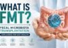 What Is FMT? Fecal Microbiota Transplantation Explained for Gut Health What Is FMT Fecal Microbiota Transplantation Explained for Gut Health